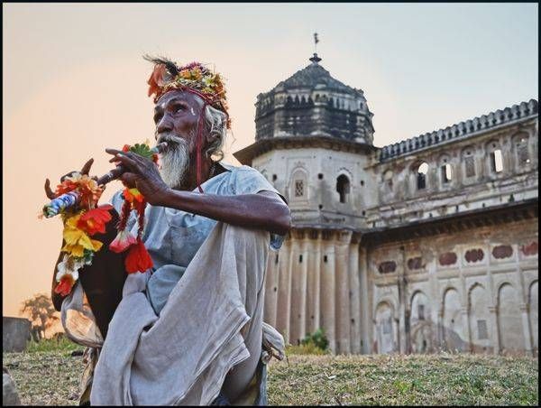 India   2016