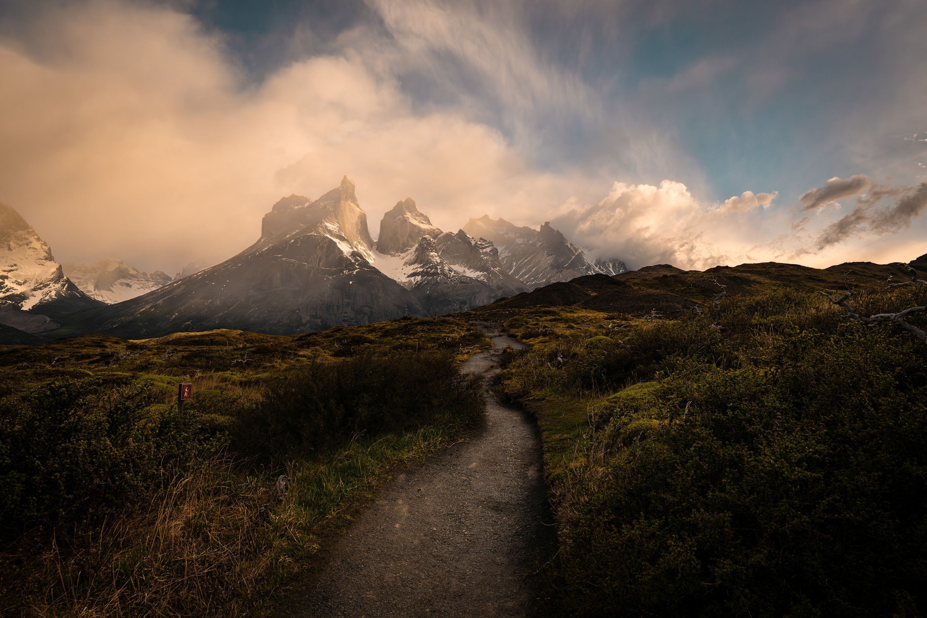 
        <div class='title'>
          The Way Forward
        </div>
       