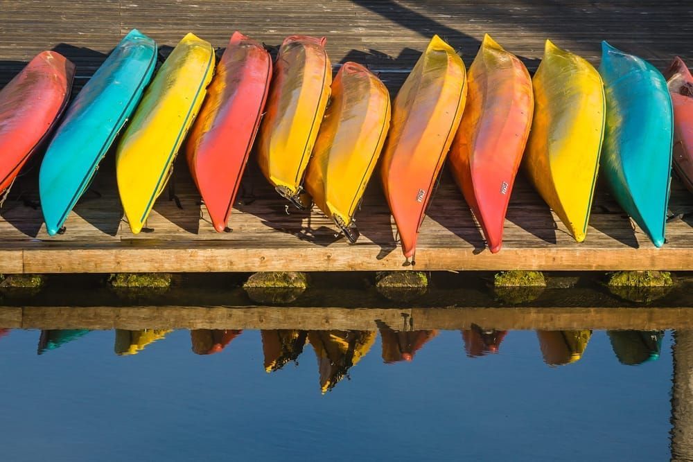 Lined Up Art | Tim McGuire Fine Art
