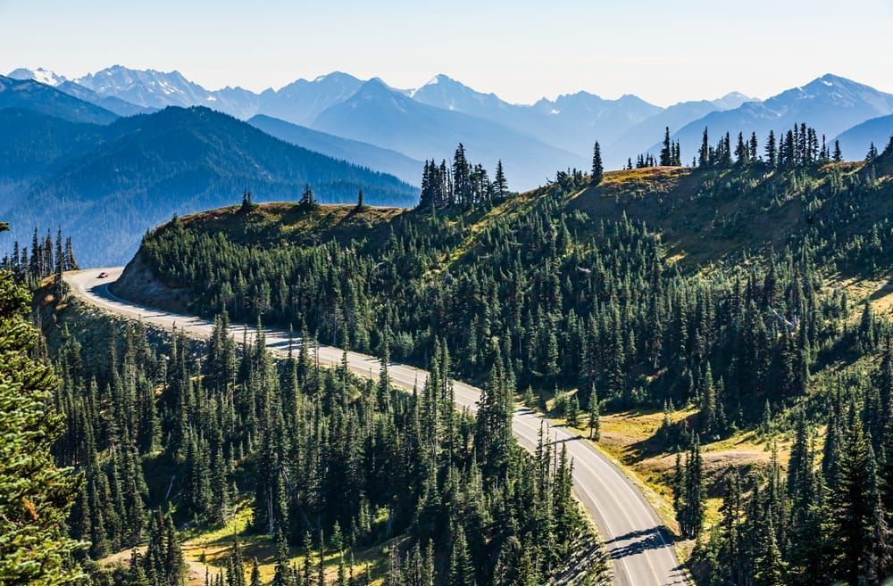 Hurricane Ridge Road Art | Tim McGuire Fine Art