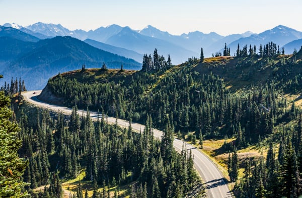 Hurricane Ridge Road Art | Tim McGuire Fine Art