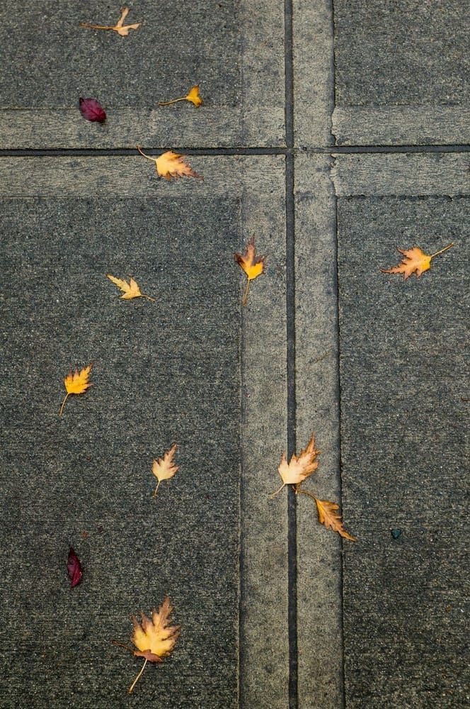 leaves, sidewalks, crosses, textures, art, photography, prints