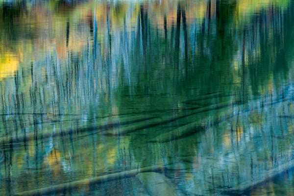 Transluscent Reflective Fall