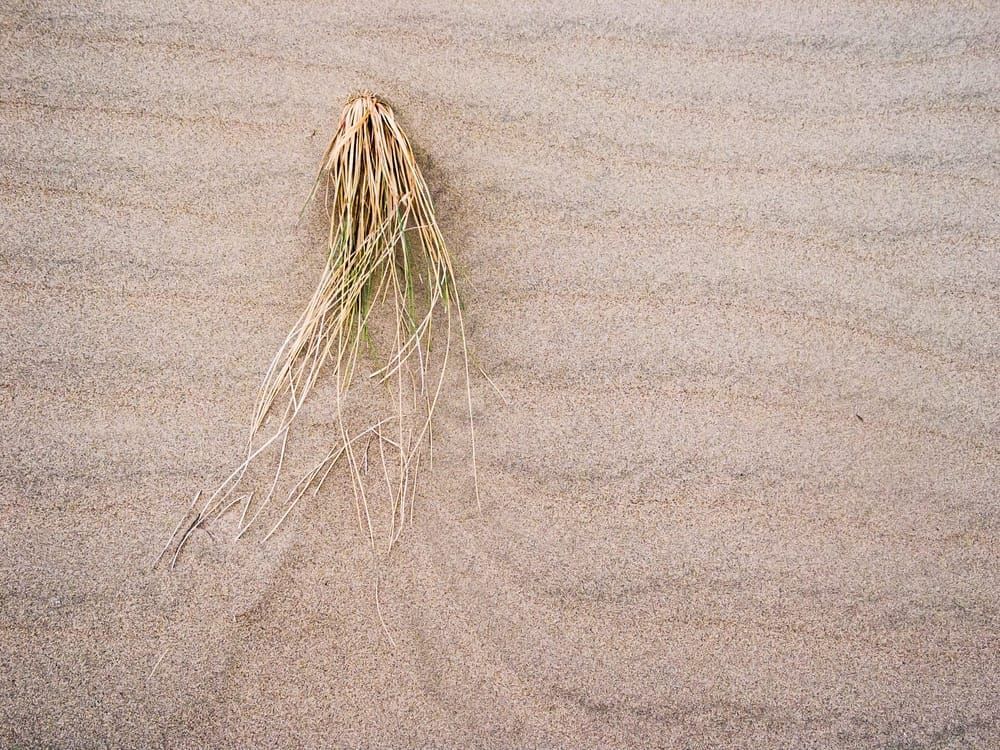 art photography for sale buy artwork online prints for sale 