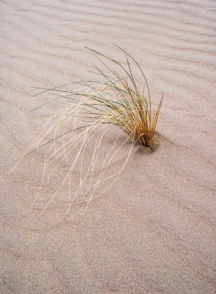art photography for sale buy artwork online prints for sale Sand vantage Frenchmans coulee