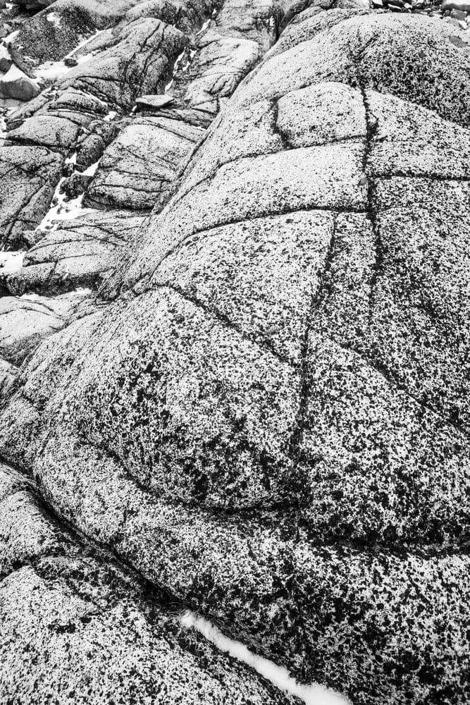 Texture (B&W) Art | Tim McGuire Fine Art
