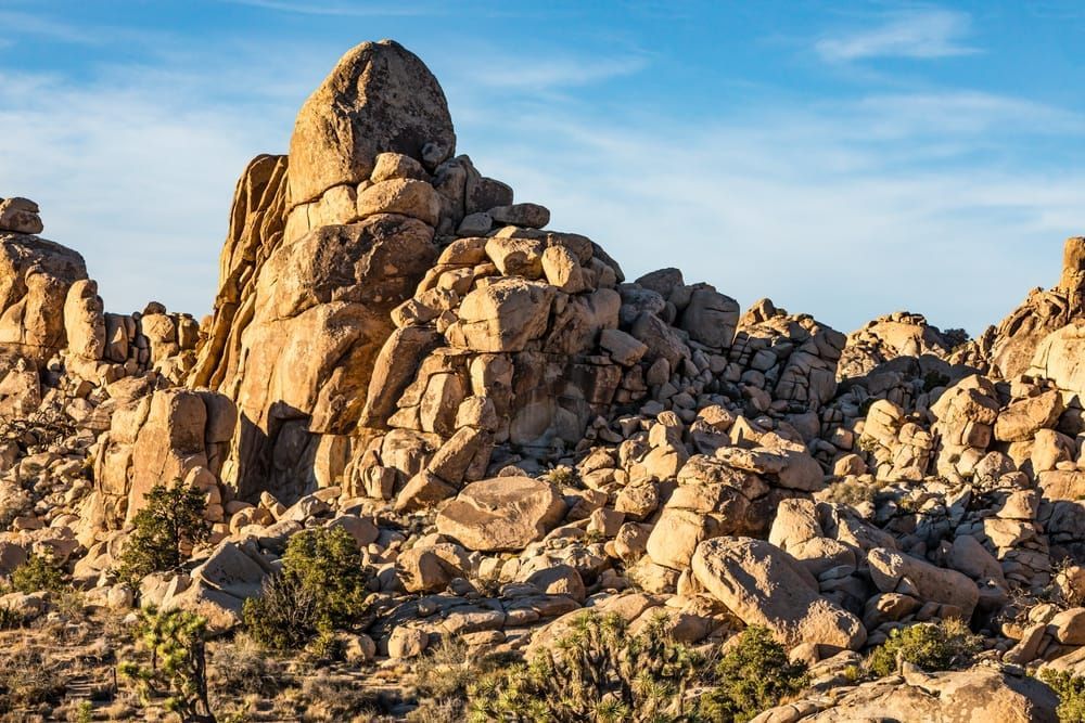 Rock formations in Joshua Tree National Park near sunset.