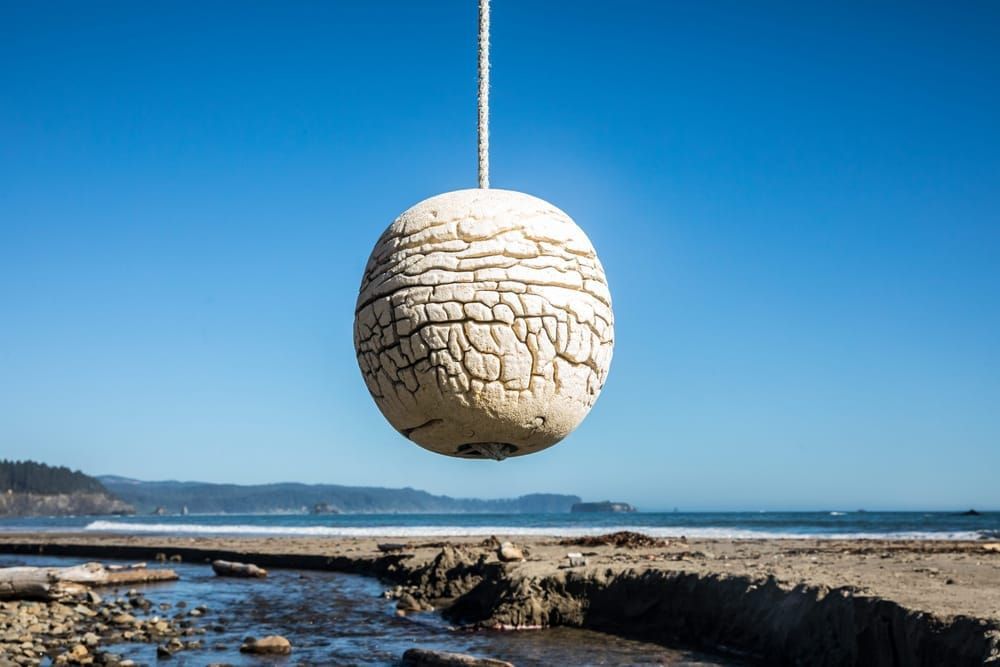 Some sort of foam type buoy weathered / cracked and hanging by a rope from driftwood on the beach just south of Toleak Point on the Olympic National Park Coastal Strip, Washington, USA.