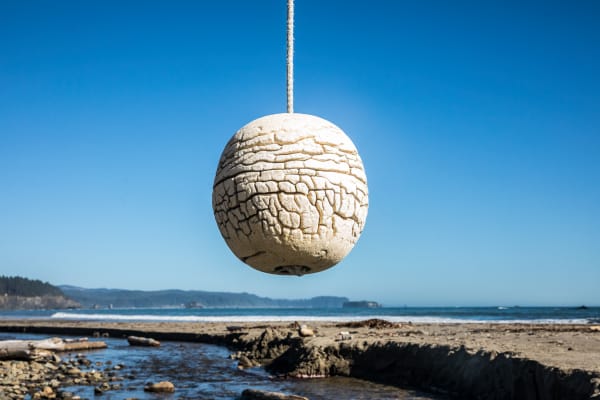 Some sort of foam type buoy weathered / cracked and hanging by a rope from driftwood on the beach just south of Toleak Point on the Olympic National Park Coastal Strip, Washington, USA.