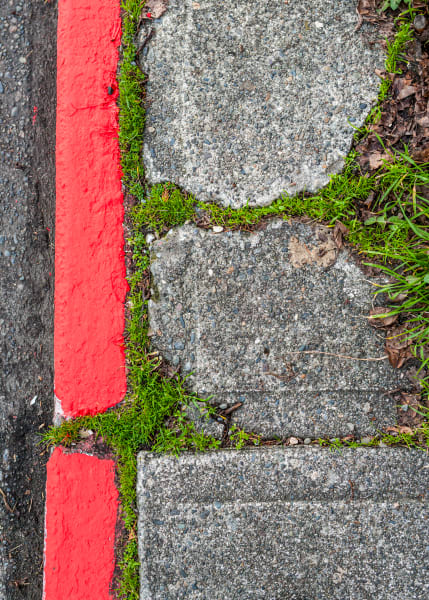 Cracks, sidewalk, moss, grass, growing