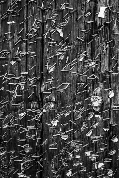 What Did They All Say? If Staples Could Talk (B&W)