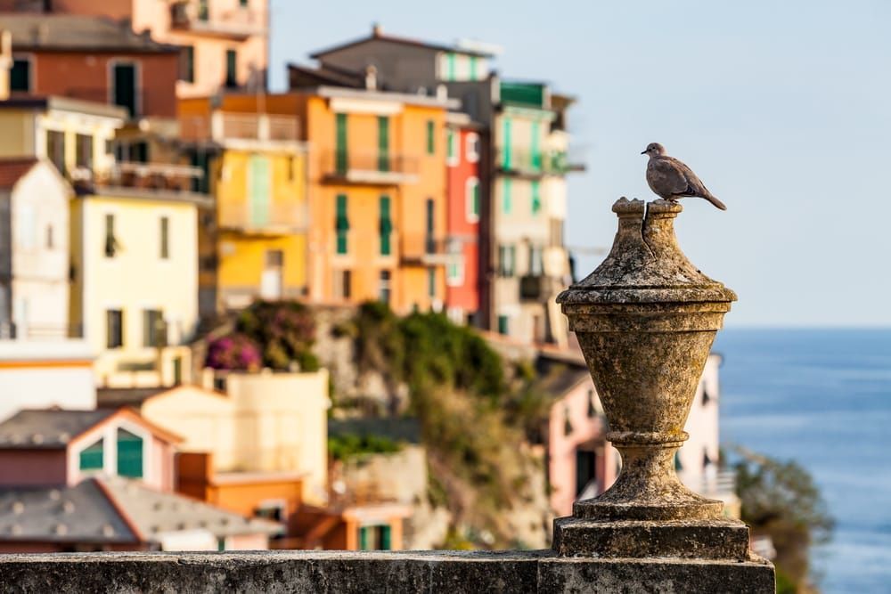 A dove sits atop an ornamental wall at the edge of a cemetery in Riomaggiore, Italy.
