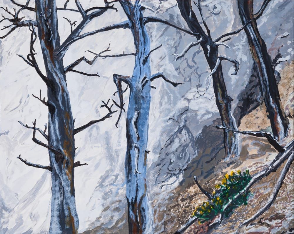 Mammoth, Hot, Springs, Trees, Yellowstone, National, Park