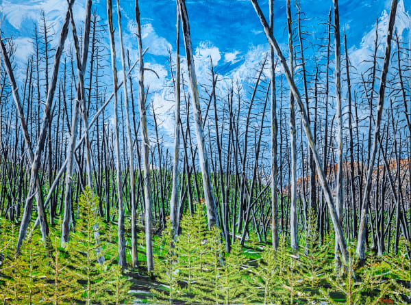 burnt, forest, life, cycle, renewed, new, growth