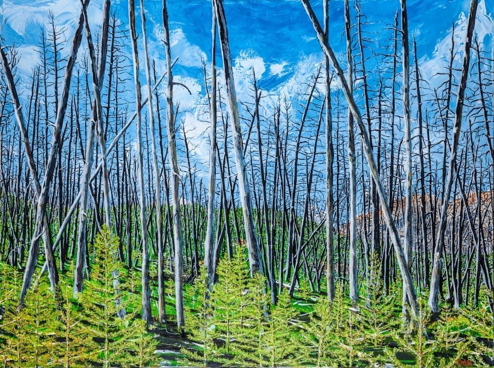 burnt, forest, life, cycle, renewed, new, growth