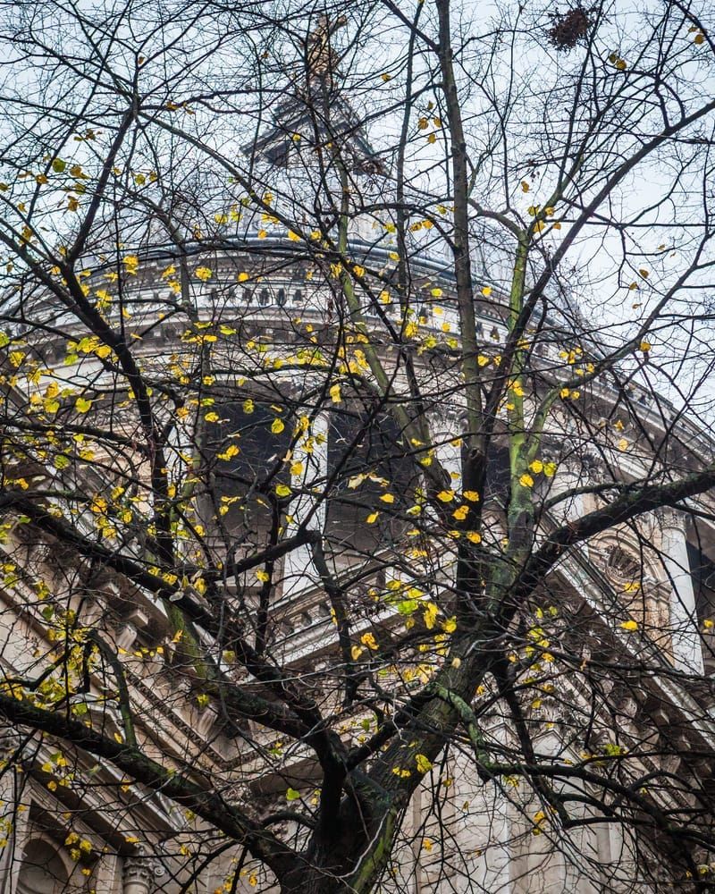St Peters Church through Winter Trees