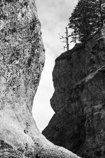 sea stacks in contrast in black and white