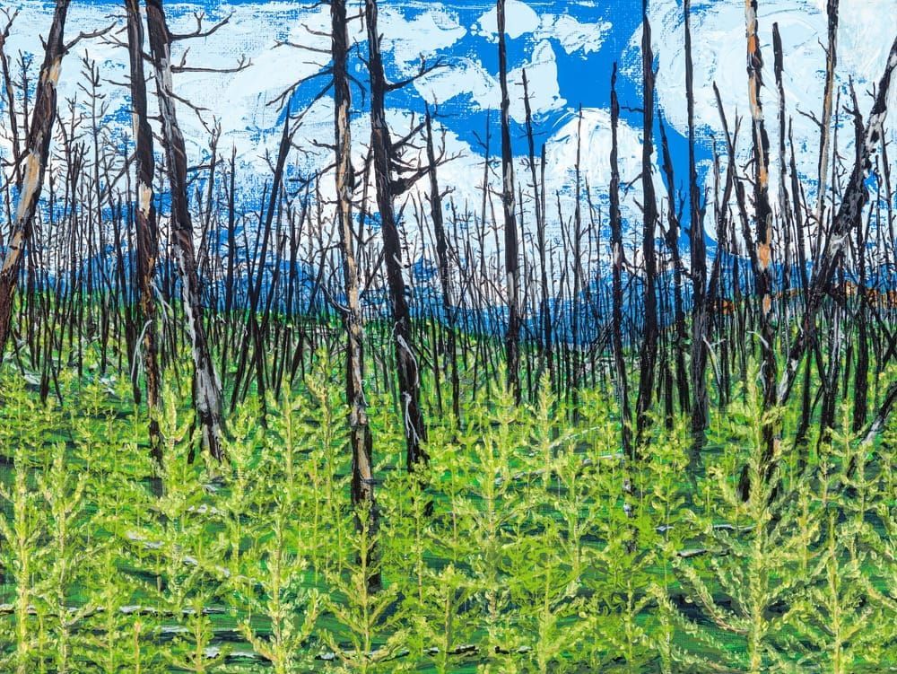 Burnt Forest Yellowstone Art | Tim McGuire Fine Art