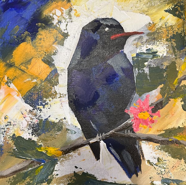 Birds