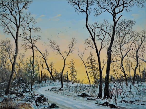 The Path Through The Woods Art | bevbarnardartist