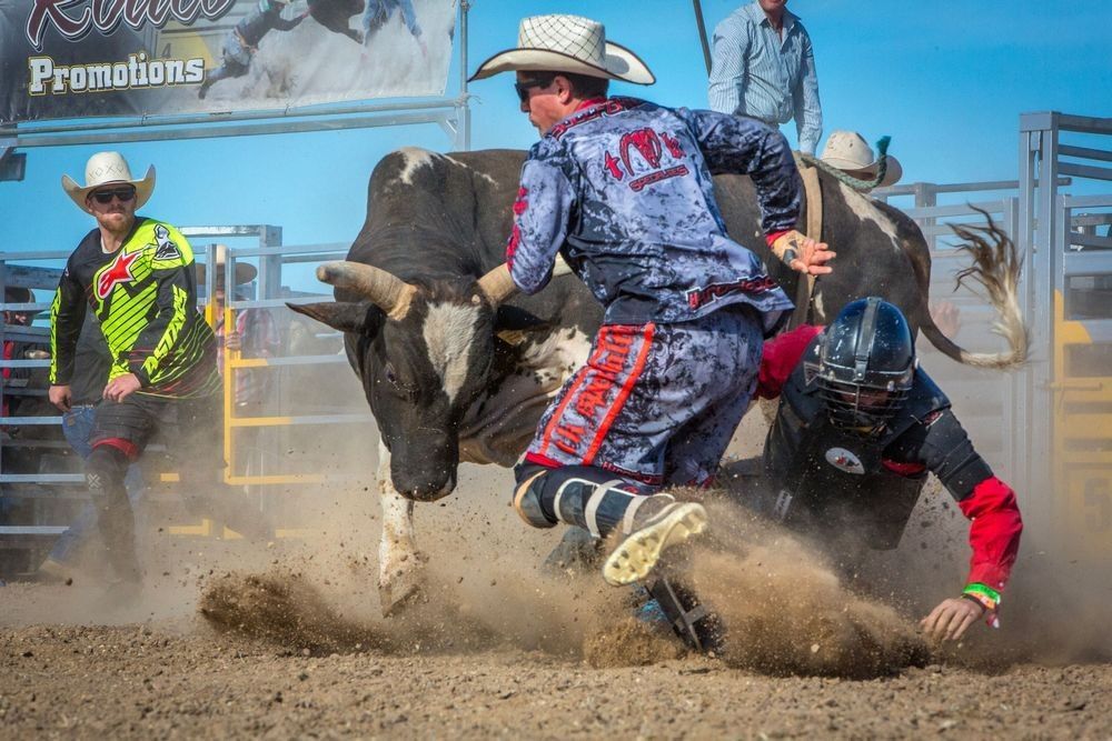 Bull Riding Clown In Action Art | Margie McClelland