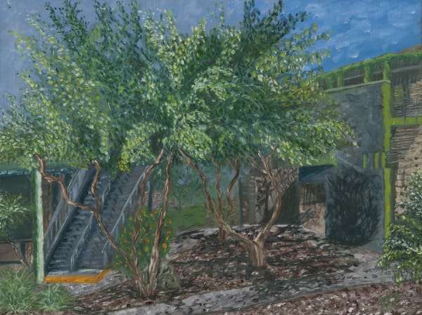 A View From Inside Chandler Gilbert Community College Art Studio, Oil On Canvas, (2017). Art | FineArtByKimberly