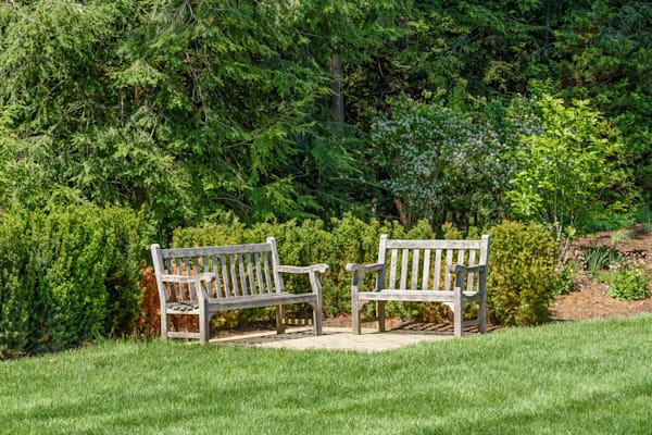 Gardens Benches Flowers Bees