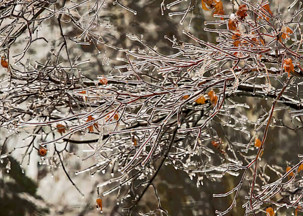 Winter Ice Snow