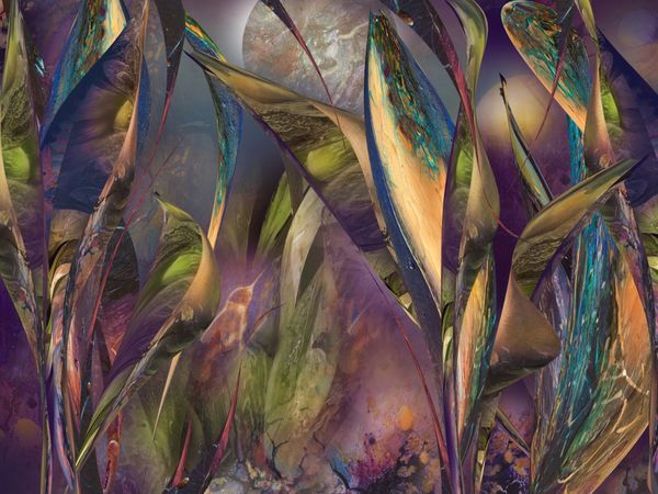 Fantasy Flora