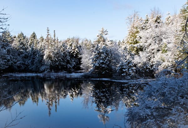 Snowy Vermont Pond Art | Dappled Light Gallery