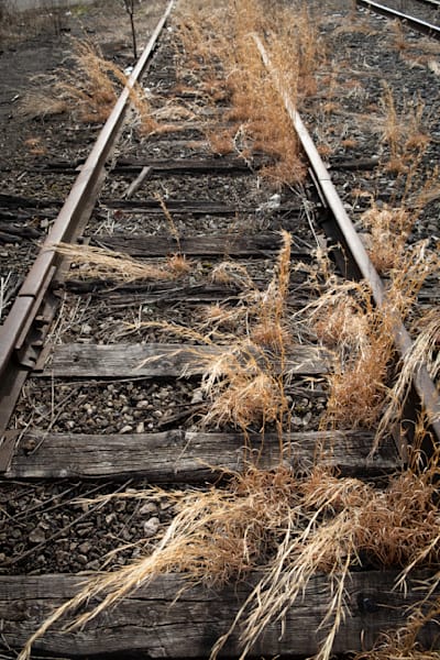 Down By The Tracks Photography Art | David Mihel
