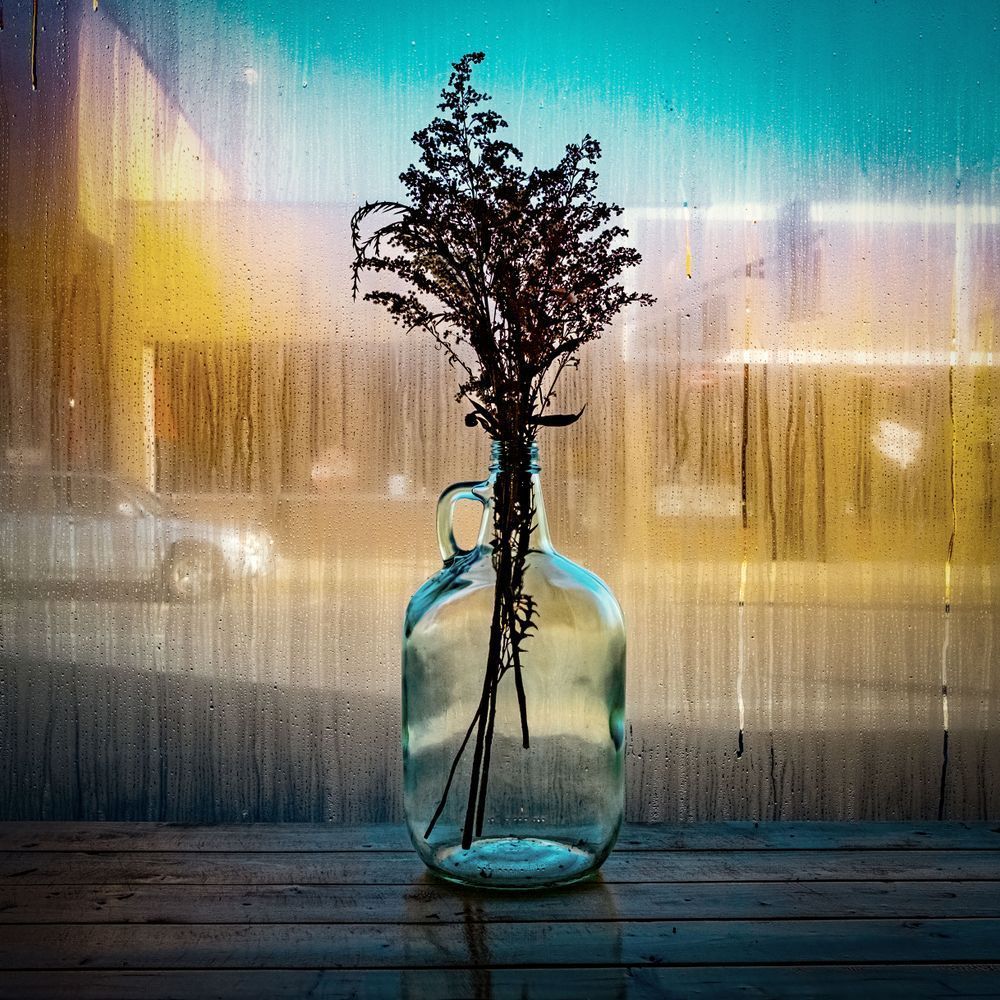 Urban Oasis Photography Art | Steve Genatossio Photo