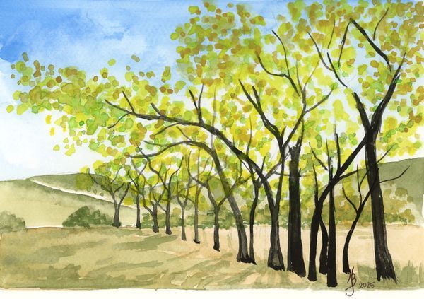 Landscapes