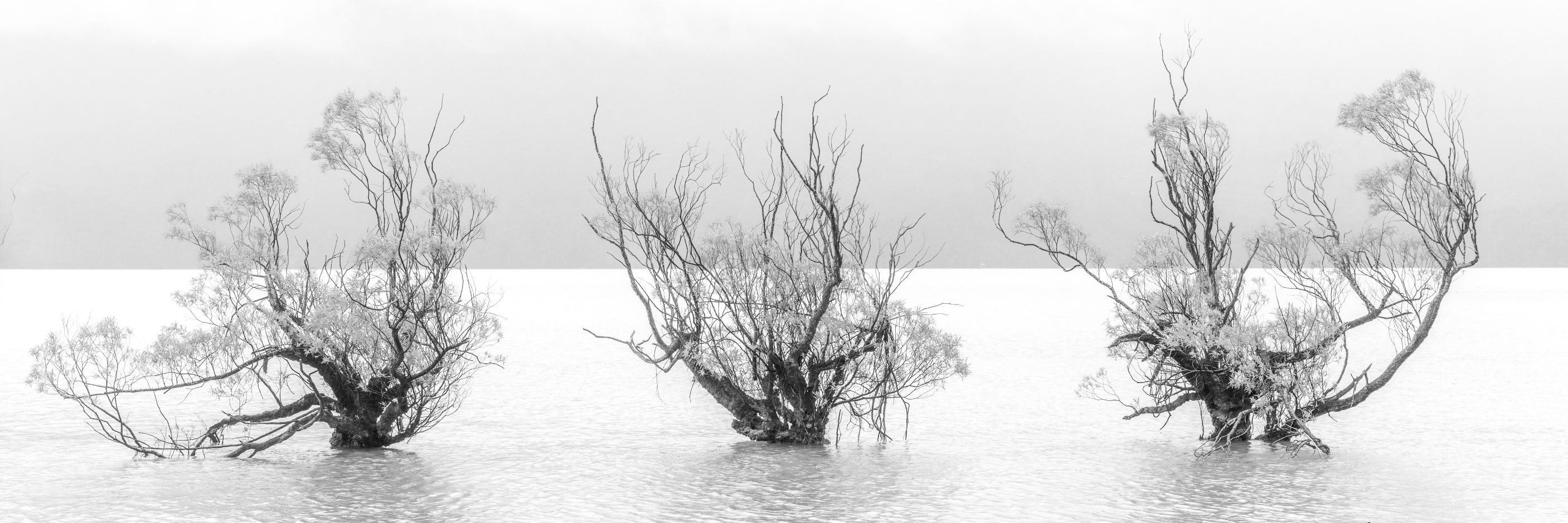 
        <div class='title'>
          2
        </div>
       