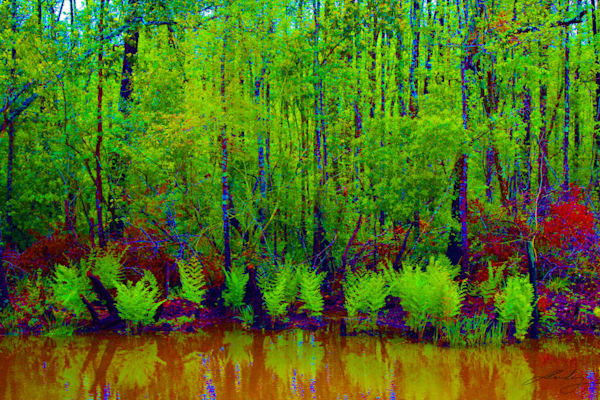 Bayou Lacroix Ferns In Pop Colors Art | Mandy Wilson Smith Art