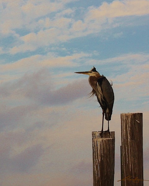 Blue Heron Watch Art | Mandy Wilson Smith Art