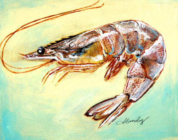Gulf Shrimp Art | Mandy Wilson Smith Art