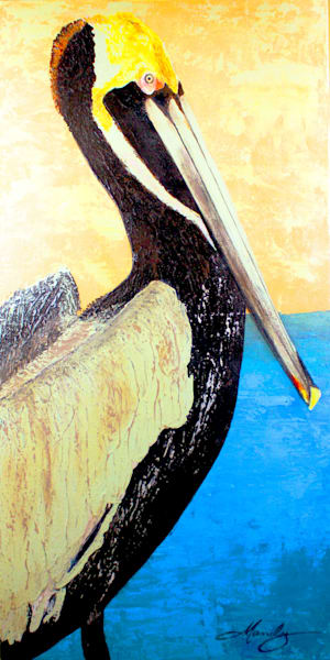 Brown Pelican At Sunset Art | Mandy Wilson Smith Art