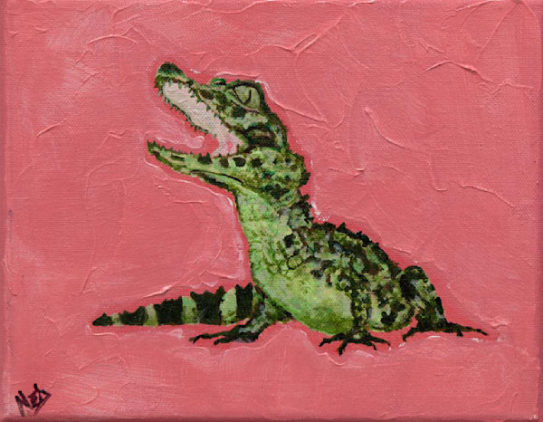 Alligator