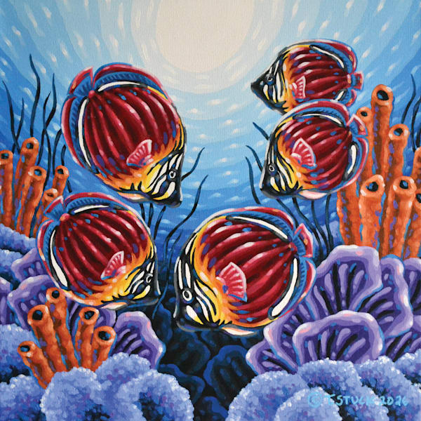 Tropical Fish Series
