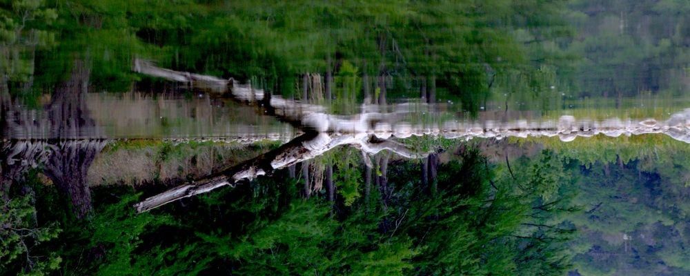 
        <div class='title'>
          Copy of Untitled Design (1)
        </div>
       