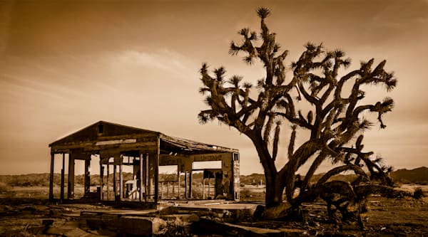 Memories of Bygone Days