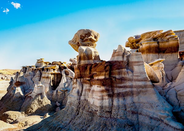 Oh Captain My Captain