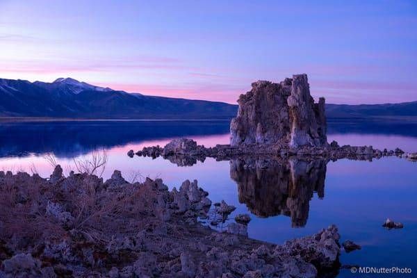 Mono Lake_320A8190