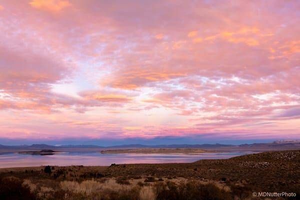 Mono Lake Cotton Candy