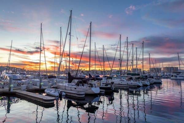 Marina Del Rey_320A4859