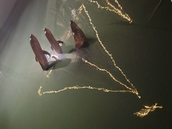 Delfini Riflessi 1 Photography Art | PASO