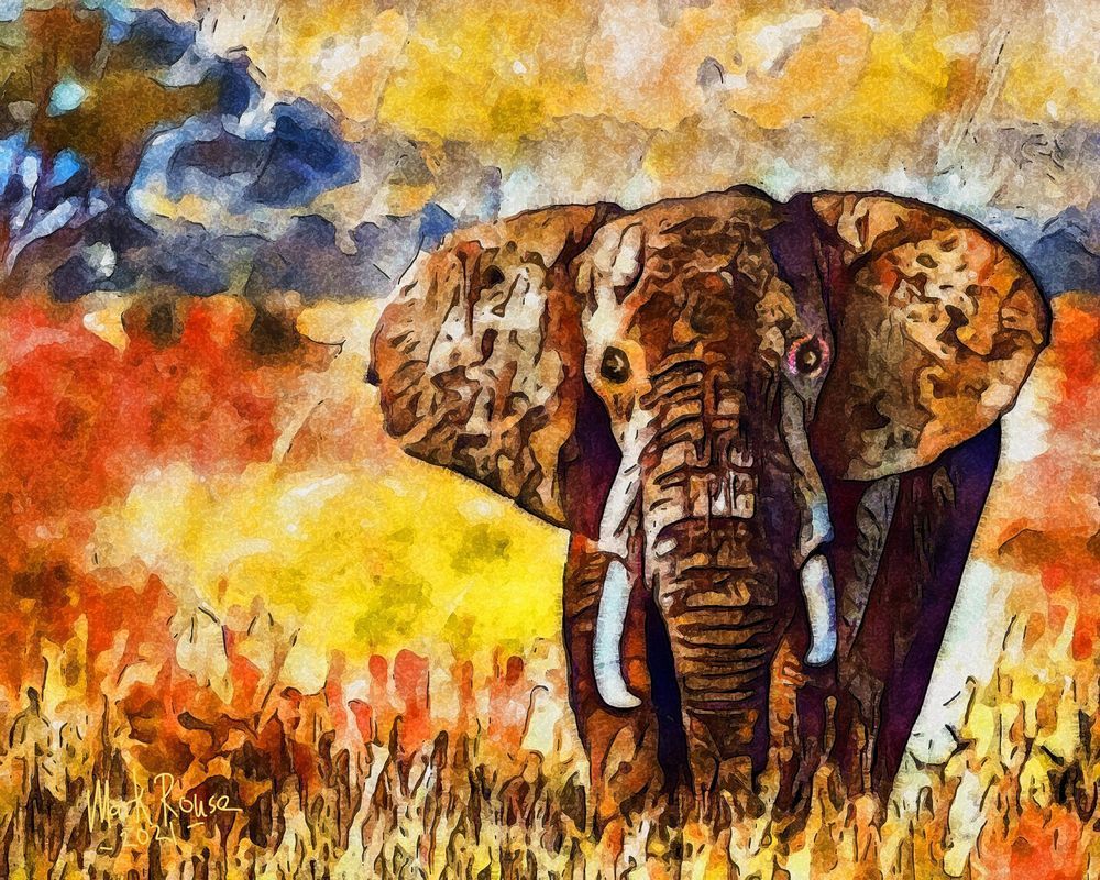 Elephant Art | mark.rouse.ART