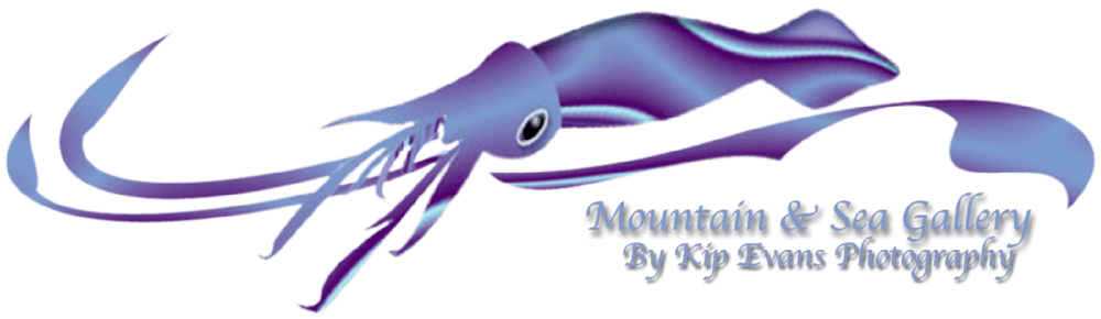 Mdawmdawmdawmdaw7qgraepd6cacehr zcfbfywxu2fyveayeunrgwctqqqltnerwweter6yomfiojy24adow ljj7f22f2vd2s3k0fn 38ezqodftc2xeuhdjufahdziomokxodj3hs jg da6ji5eudq olwagpj5emn5hfx xenb8gludbwfw4cokbzvxb emqd1rvpoproyb3mmnzrttdeoj 7i6qbqwltjpg kxcpppzrvy8rvib cpqcruusfsibfycyc4fqhkk8ilx8xid3nf9wmrgz labp jbj3rgdzu uavazji4cq5djh8fspwb1xqhir7ojbvzhuois4lyzwtec6zm6u6xbev8l gaw zijp7fy sbxlxmhgmfracboxleielxvl g