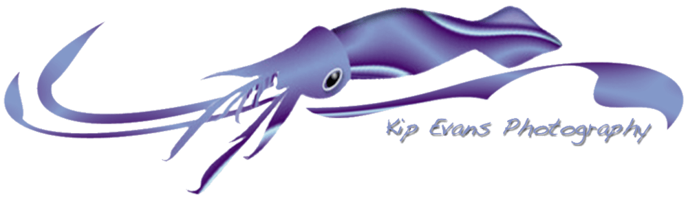 Mdawmdawmdawmdaw7qgraepd6cacehr zcfbfywxu2fyveayeunrgwctqqqltnerwweter6yomfiojy24adow ljj7f22f2vd2s3k0fn 38ezqodftc2xeuhdjufahdziomokxodj3hs jg da6ji5eudq olwagpj5emn5vbimvydxoe1admkimvc6agcaziuemqnlvu  tto0e3mmnzrttdeoj 7i6qbqwltjpg kxcpppzrvy8rvib cpqcruusfsibfycyc4fqhkk8ilx8xid3nf9wmrgz labp jbj3rgdzu uavazji4cq5djh8fspwb1xqhir7ojbvzhuois4lyzwtec6zm6u6xbev8l gaw zijp7fy sbxljou38aqv2ju4wi87fra5ow